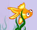 ӢĶ裺Little  Goldfish