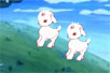 flashĶ裺С