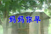 flashĶ裺