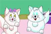 ˹èflashĶ裩