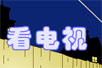 ӣflashĶ裩