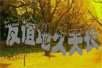 ؾ쳤flashĸ裩