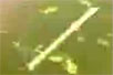СħϣflashĶ裩