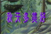 ãflashĶ裩
