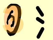 裨flashĶ裩