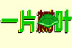 һƬҶflashĶ裩