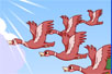 Ŵ㳪֧裨flashĶ裩