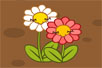 ӢĶȫ  where do all the daisies go