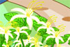 flashĶ裩