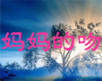 ǣflashĶ裩