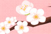 ӢĶȫ  plum blossoms