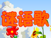 裨Ͷflashͯȫ